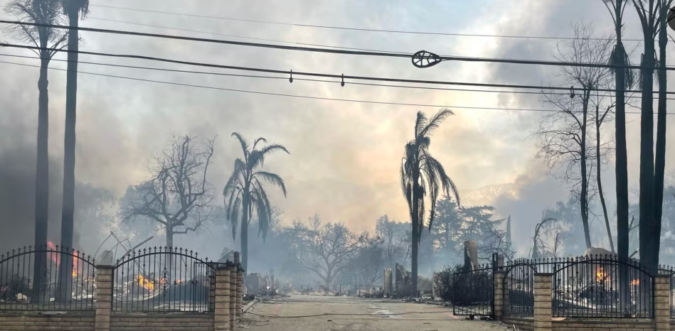 Rp810 Triliun Kerugian akibat Kebakaran Hutan di Los Angeles AS